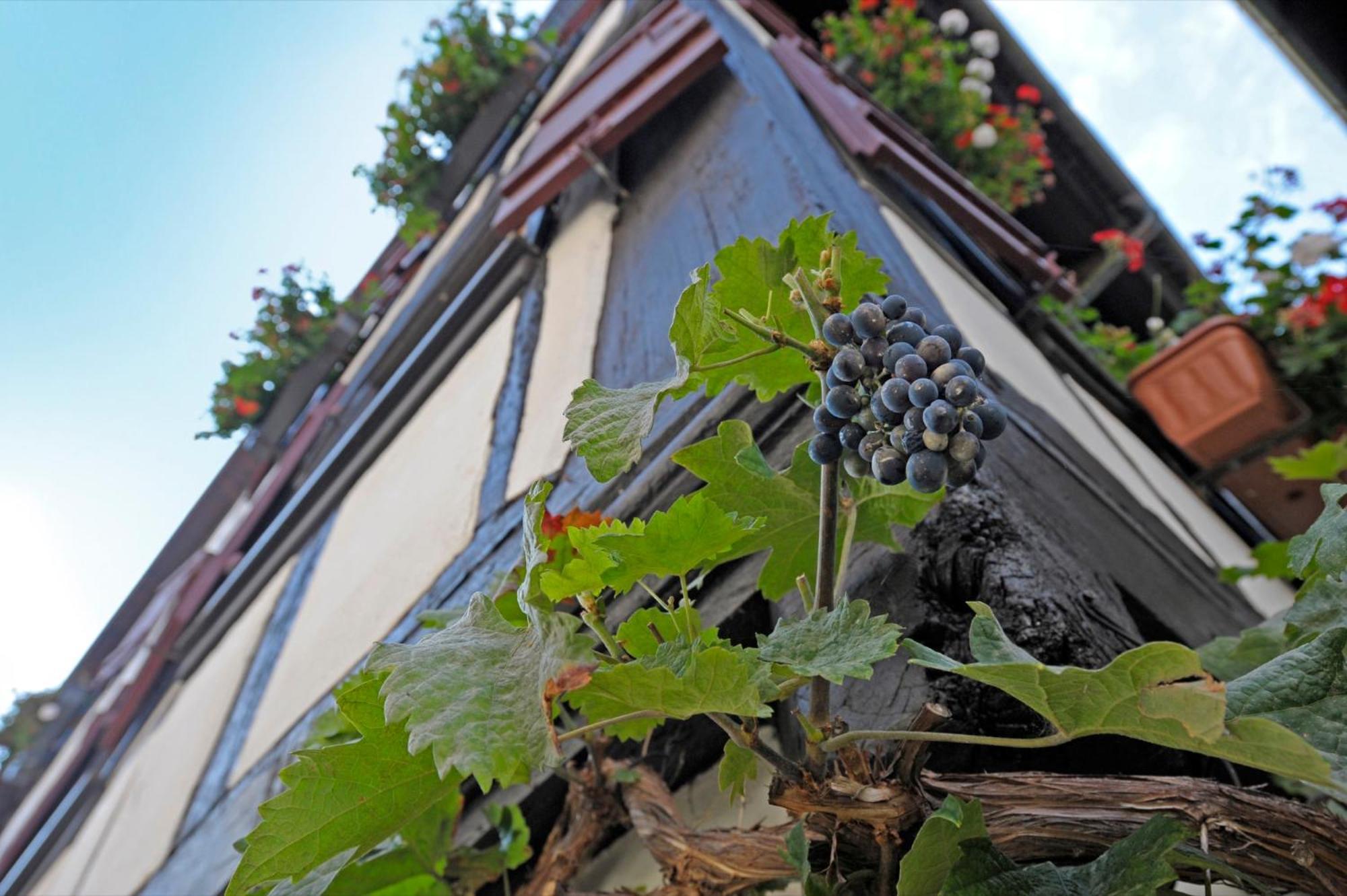 Strumpfweberhaus シルタッハ エクステリア 写真